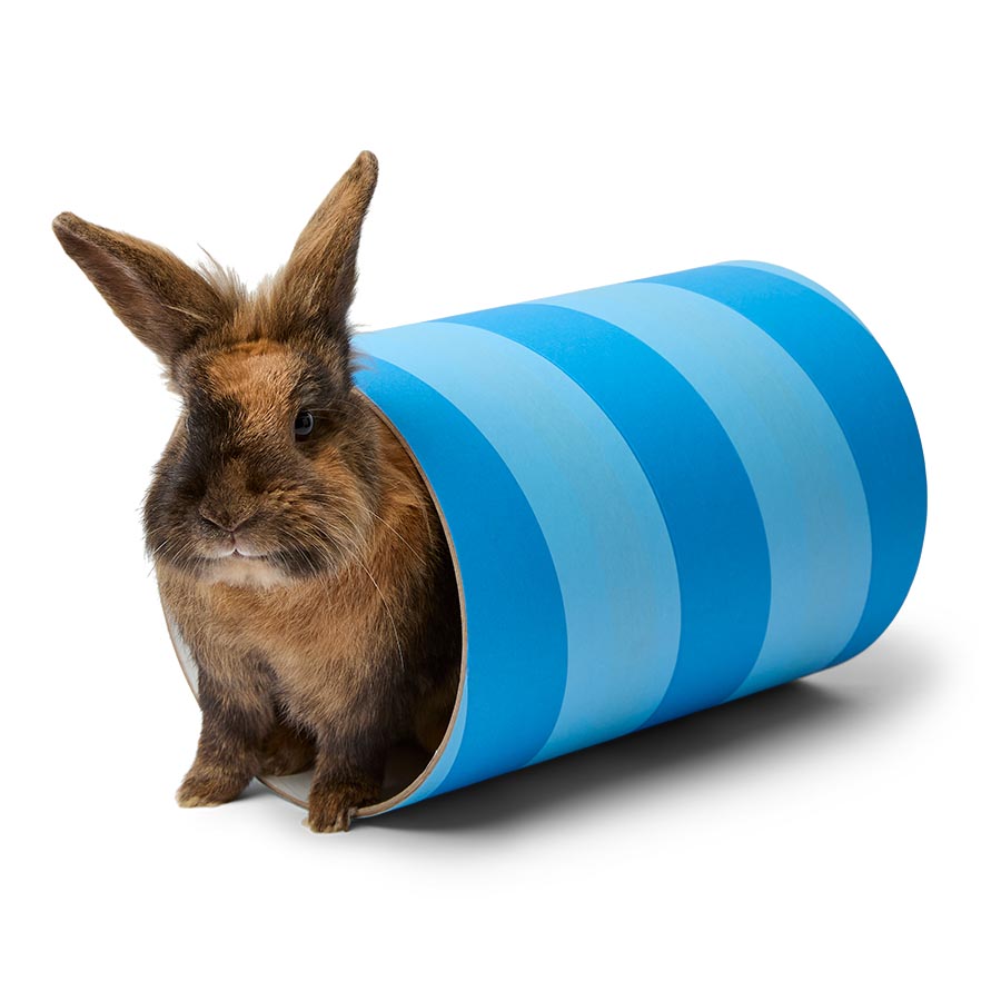 Rosewood Boredom Breaker Small Animal Chew Tube Giant