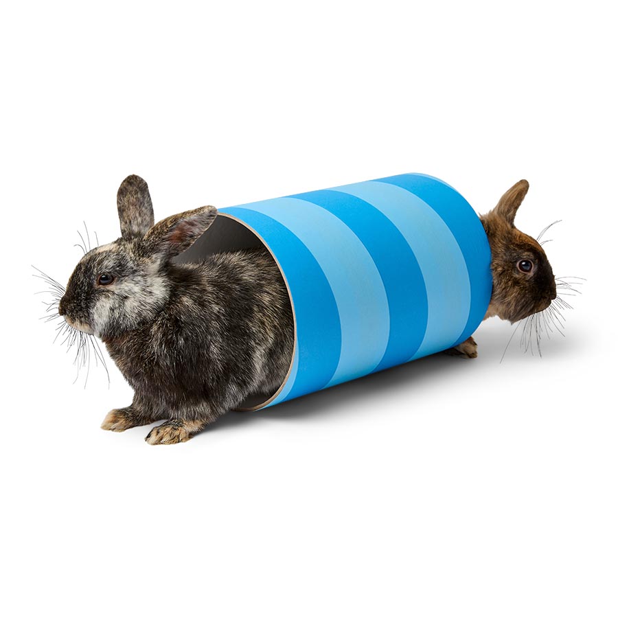 Rosewood Boredom Breaker Small Animal Chew Tube Giant