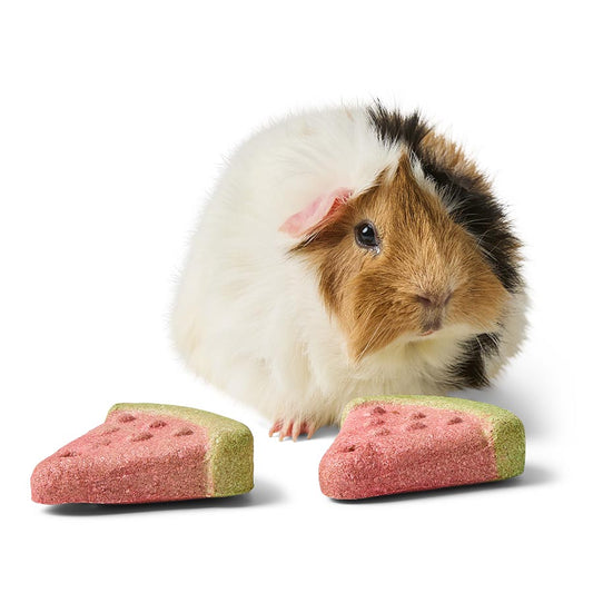 Pets at Home Sunny Daze Small Animal Watermelon Gnaw x2