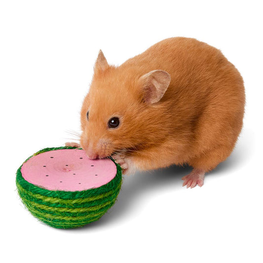 Pets at Home Sunny Daze Sisal Watermelon Small Animal Gnaw
