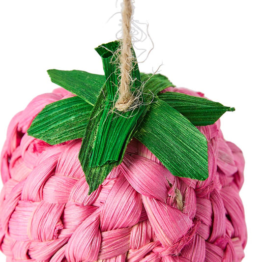 Pets at Home Sunny Daze Woven Cornleaf Strawberry Small Animal Gnaw