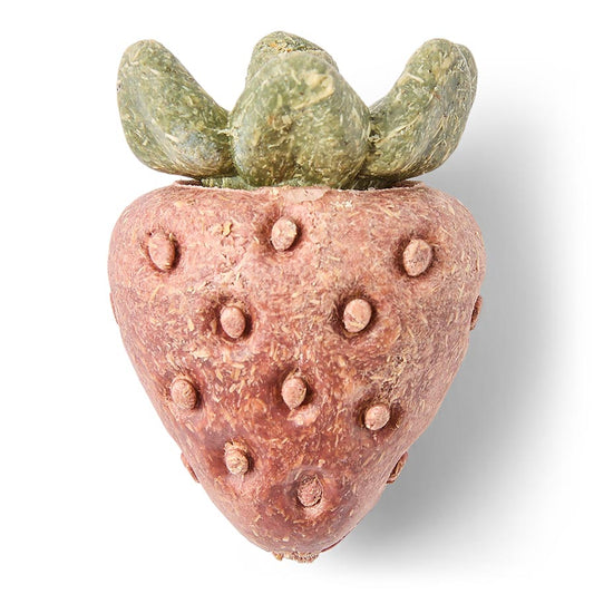 Pets at Home Small Animal Strawberry Gnaw Treats 56g