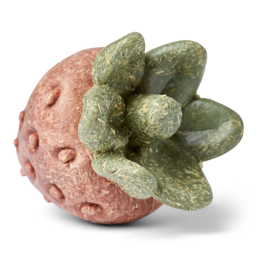 Pets at Home Small Animal Strawberry Gnaw Treats 56g