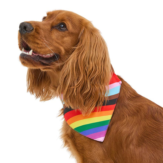 Pets at Home Pride Rainbow Dog Bandana