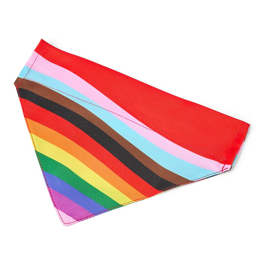 Pets at Home Pride Rainbow Dog Bandana