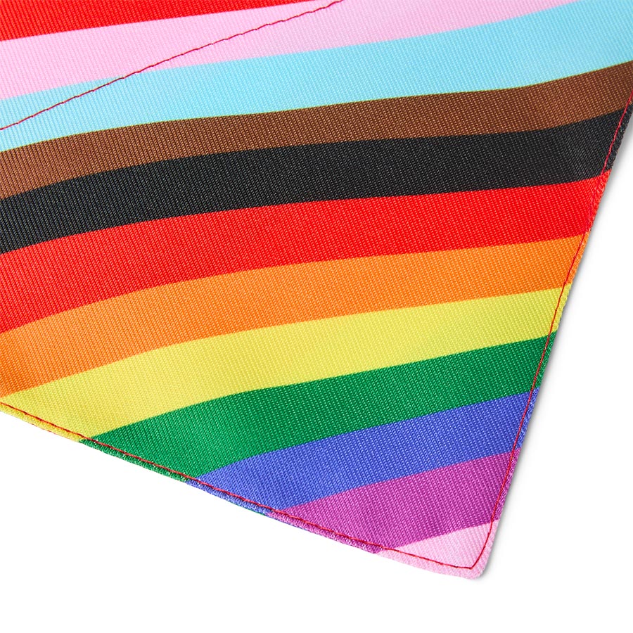 Pets at Home Pride Rainbow Dog Bandana