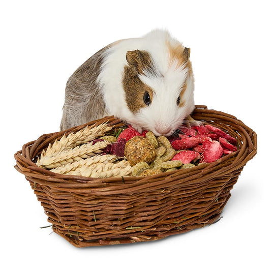 Pets at Home Spring Harvest Basket Small Animal Treat 160g