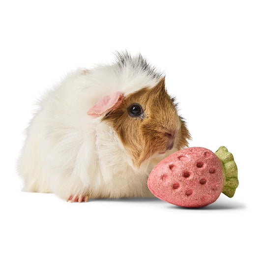 Pets at Home Sunny Daze Small Animal Strawberry Gnaw