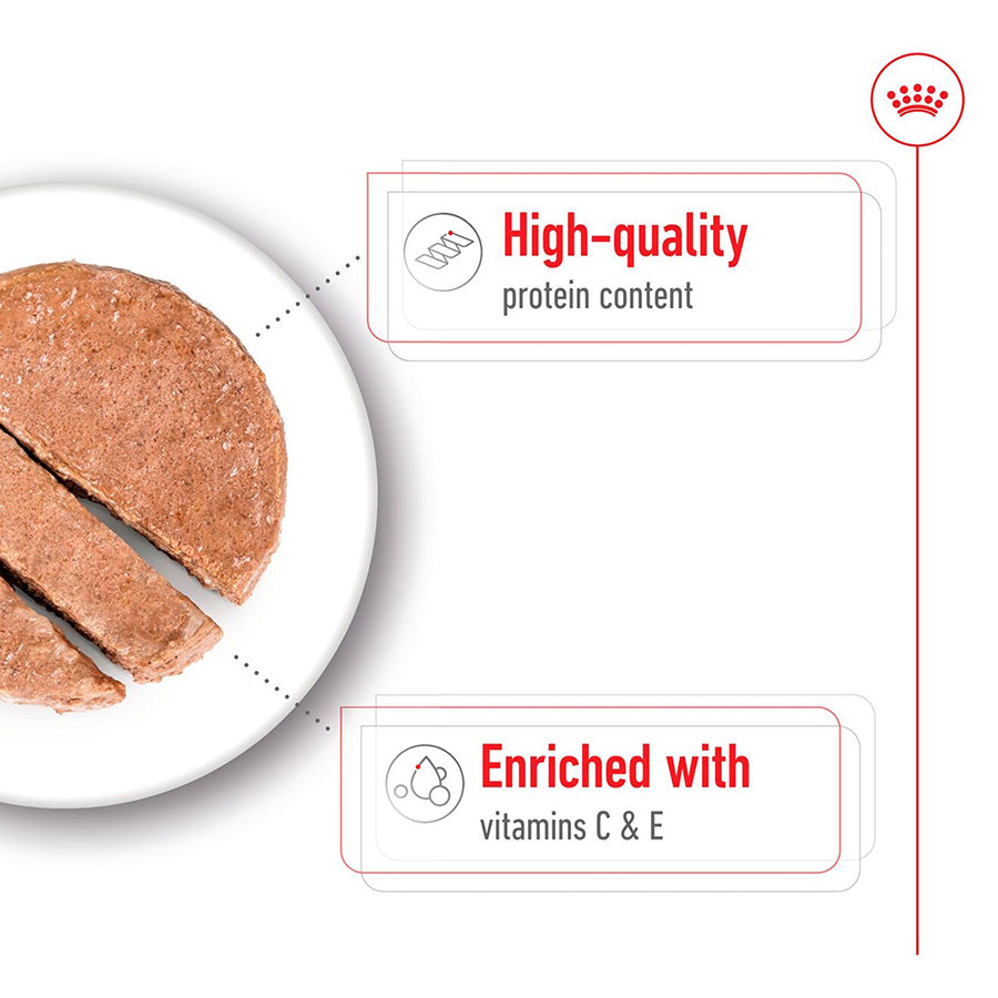 Royal Canin Medium Adult Wet Dog Food In Loaf Can 12x410g