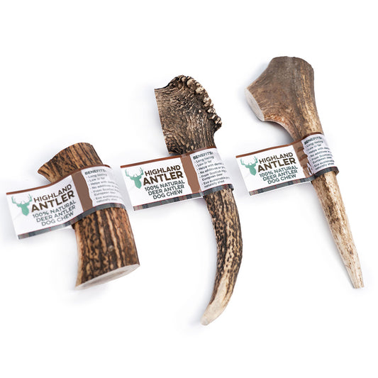 Highland Antler Dog Chew