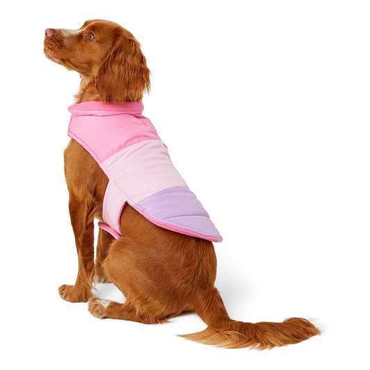 Pets at Home Colourblock Dog Jacket Pink