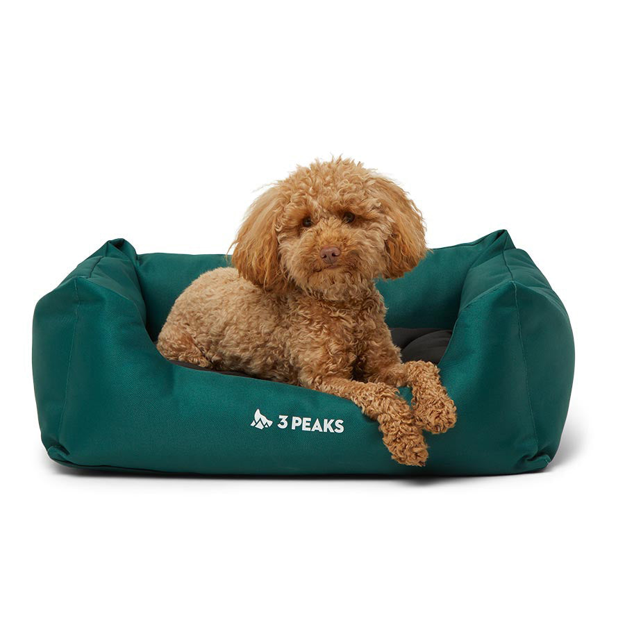 3 Peaks Durable Square Dog Bed Green