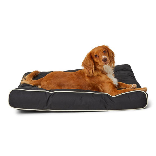 3 Peaks Padded Dog Mattress Black