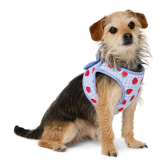 Pets at Home Strawberry Picnic Dog Harness Blue