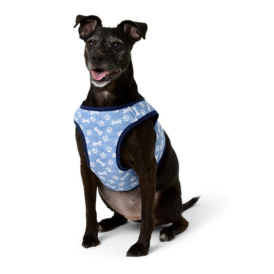 Pets at Home Paw & Bone Dog Harness Blue