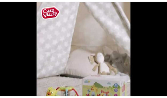 Chad Valley Discovery Ball and Giraffe