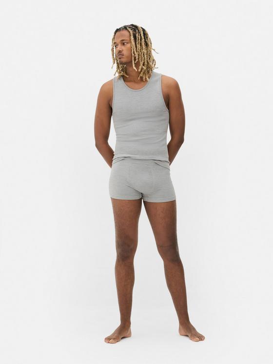 3pk Seamless Ribbed Trunks