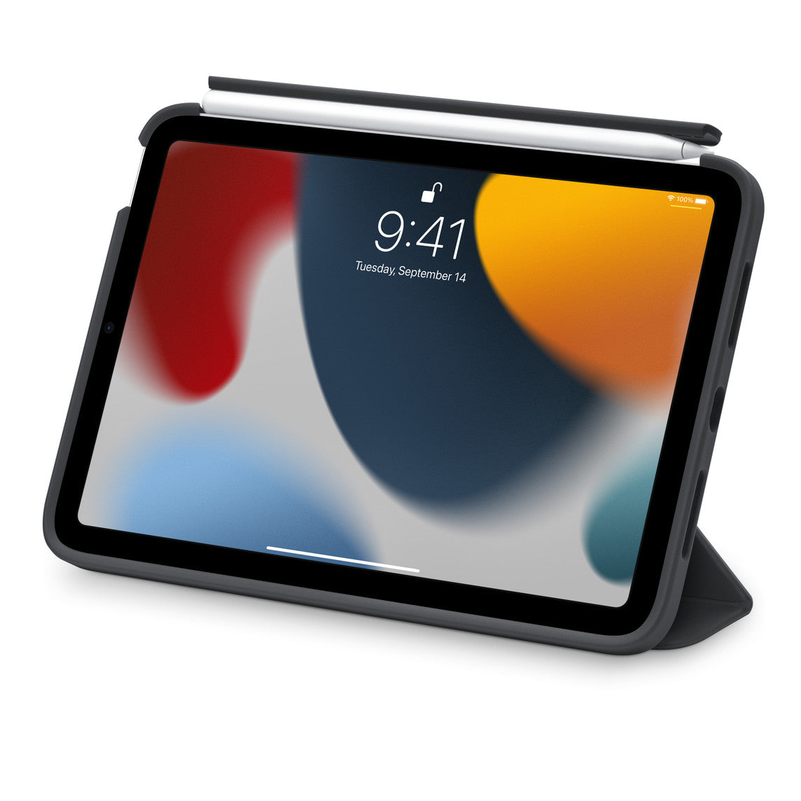 OtterBox Symmetry Series 360 Elite Case for iPad mini