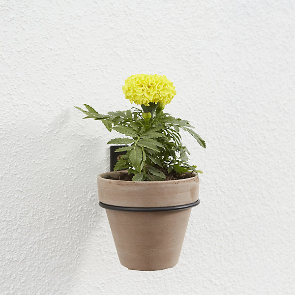 Matt Black Metal Pot hanger (Dia)11cm