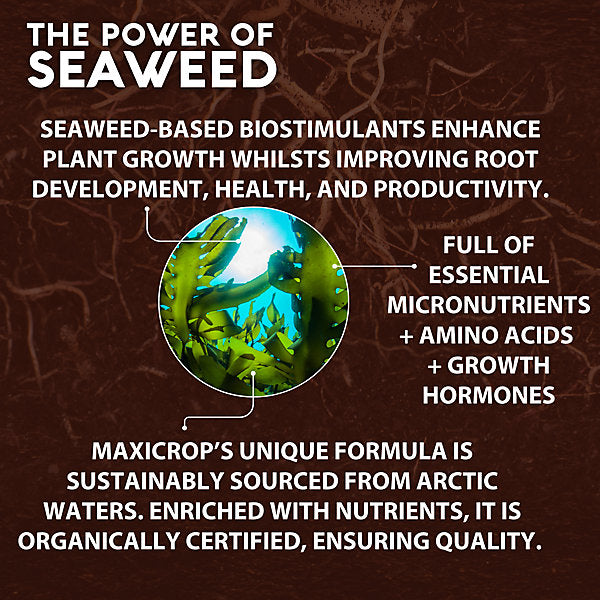 Maxicrop All purpose Vegetable growth stimulant & feed, 1L Liquid