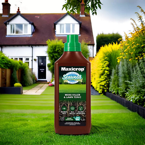Maxicrop Concentrated Moss killer 1L