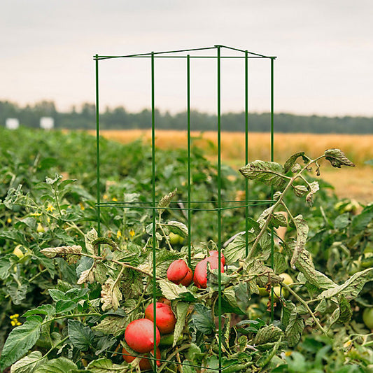 Panacea Steel 3-sided Frame Plant support frame (L)119cm (Dia)36cm