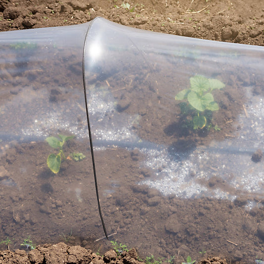 Panacea Steel Curved Plant cloche support (L)55cm (Dia)100cm, Pack of 3