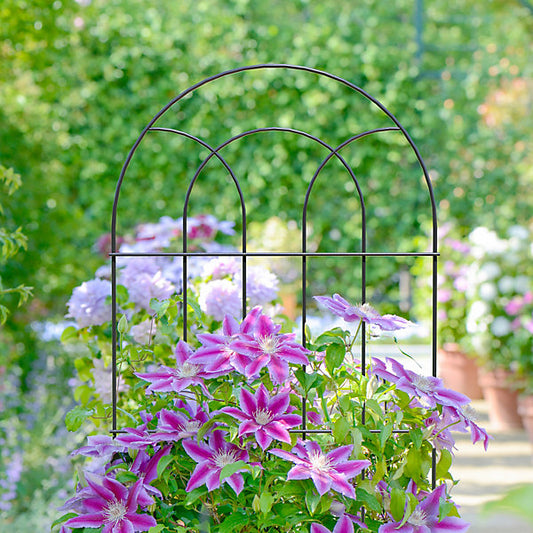 Panacea Steel Plant support frame (L)182cm (Dia)56cm