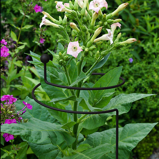 Panacea Steel Single stem Plant support (L)75cm (Dia)15cm