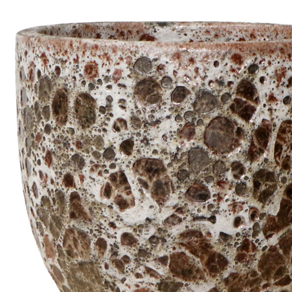 Verve Brown Ceramic Plant pot (Dia) 20cm, (H)18cm