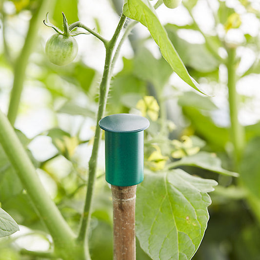 Verve Green Plastic Plant support end cap, Pack of 6