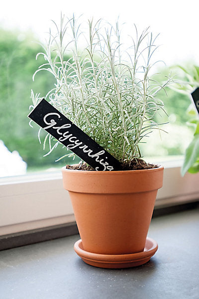 Verve Laleh Terracotta Saucer (Dia)13cm