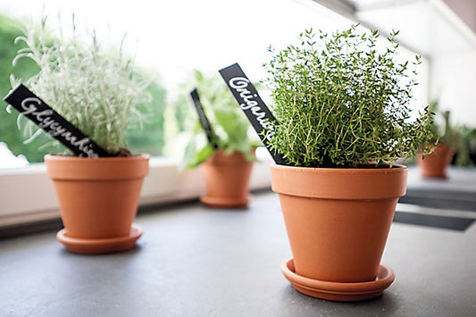 Verve Laleh Terracotta Saucer (Dia)17.4cm