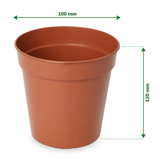 Verve Lei Terracotta Brown Plastic Grow pot (Dia) 10cm, (H)12cm, Pack of 5, 600ml