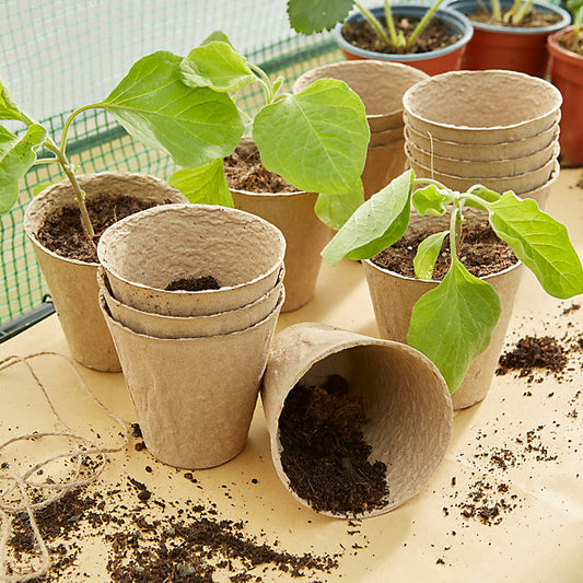 Verve Natural Beige Paper pulp Plant pot (Dia) 6cm, (H)6cm, Pack of 48, 100ml