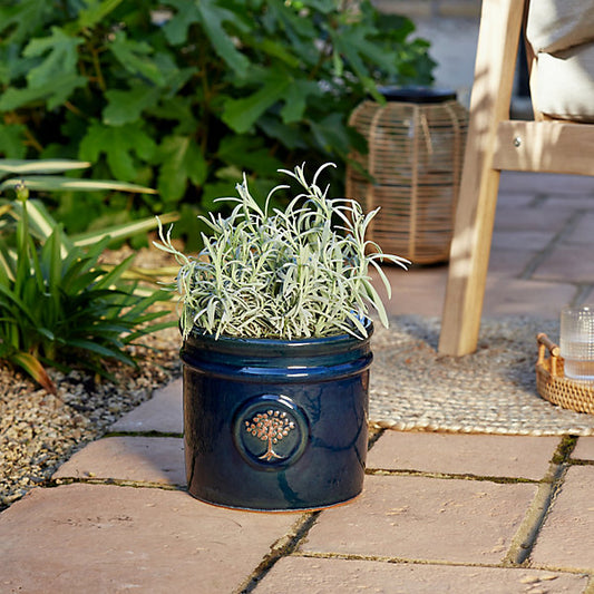 Verve Navy Blue Ceramic Plant pot (Dia) 14.8cm, (H)19cm