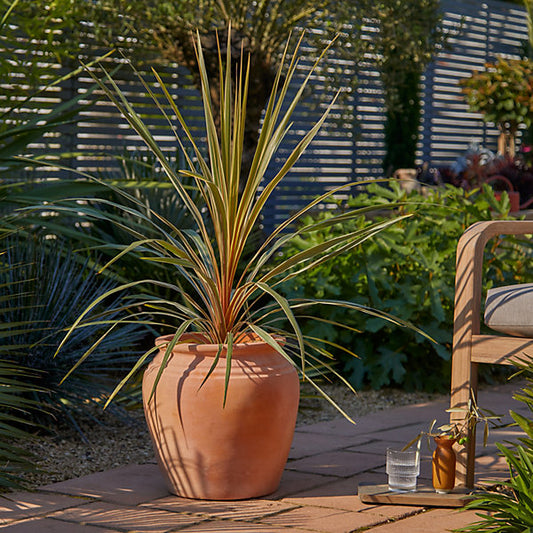 Verve Pink Whitewash Terracotta Plant pot (Dia) 35cm, (H)34cm