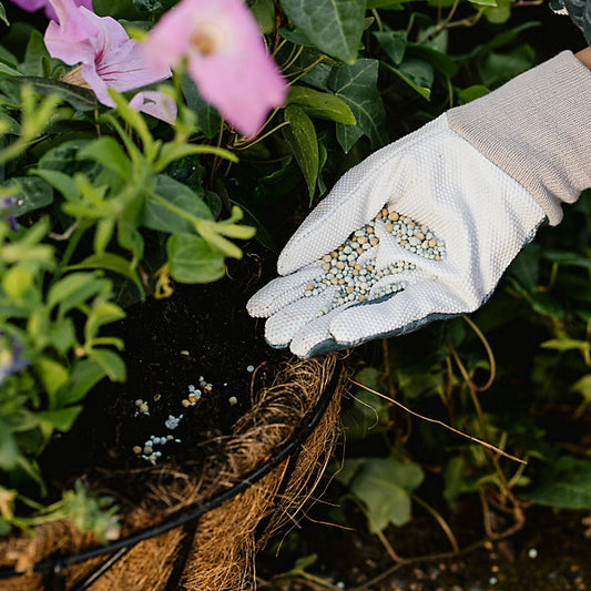 Westland Boost Flowers & vegetables Plant feed Granules 0.9kg