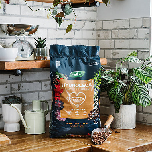 Westland Hydroleca Granules 10L