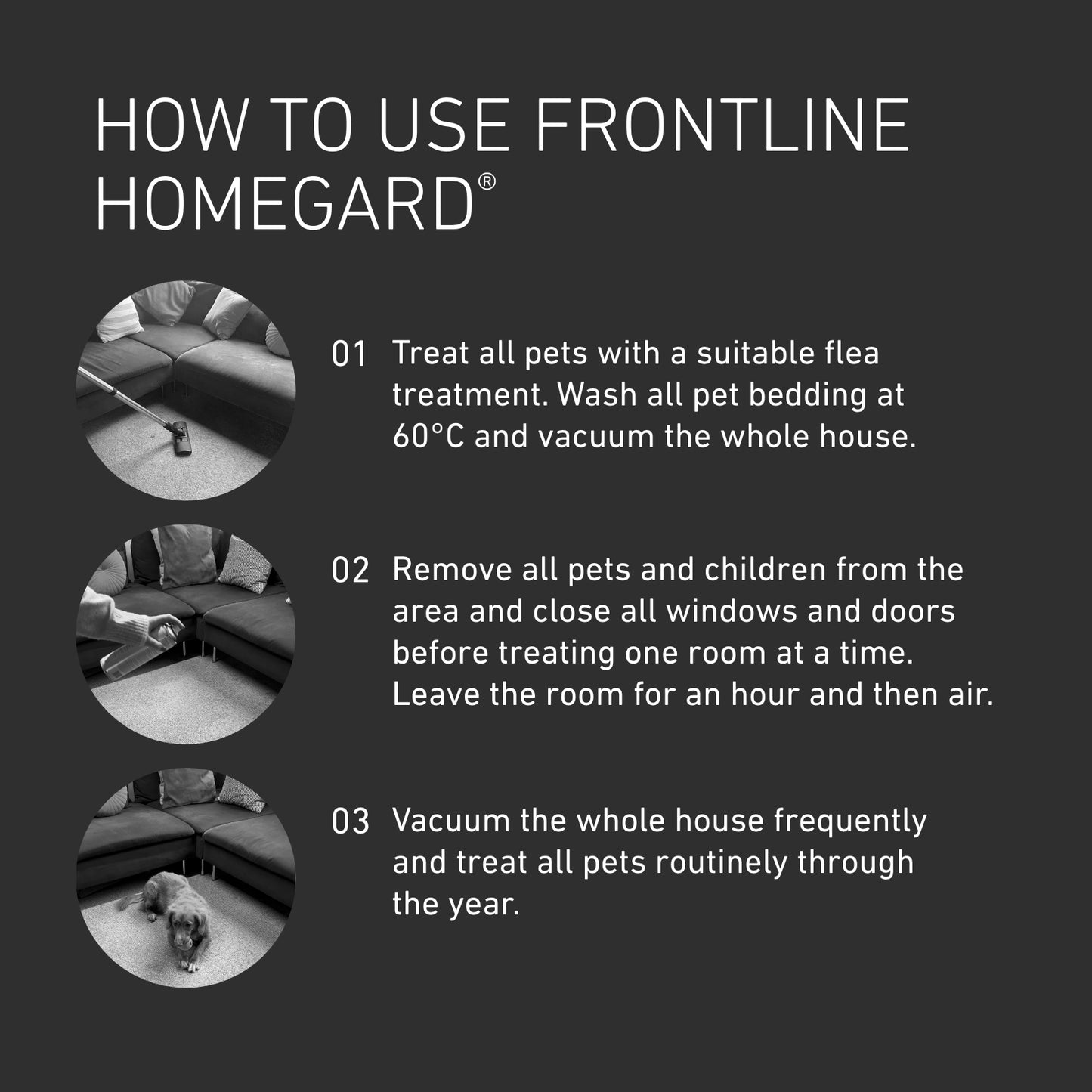 FRONTLINE HomeGard Household Flea Spray 500ml