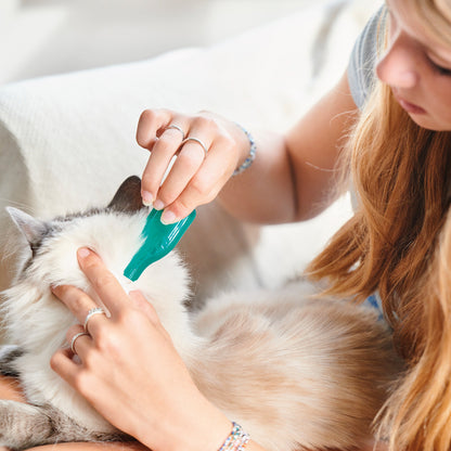 Beaphar Protection Plant-Based Flea Spot-On for Cats 1 Pipette