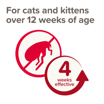 Beaphar Plant-Based Spot-On Flea Repellent for Cats 3 Pipette