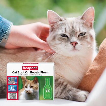 Beaphar Plant-Based Spot-On Flea Repellent for Cats 3 Pipette