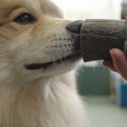 Highland Antler Dog Chew