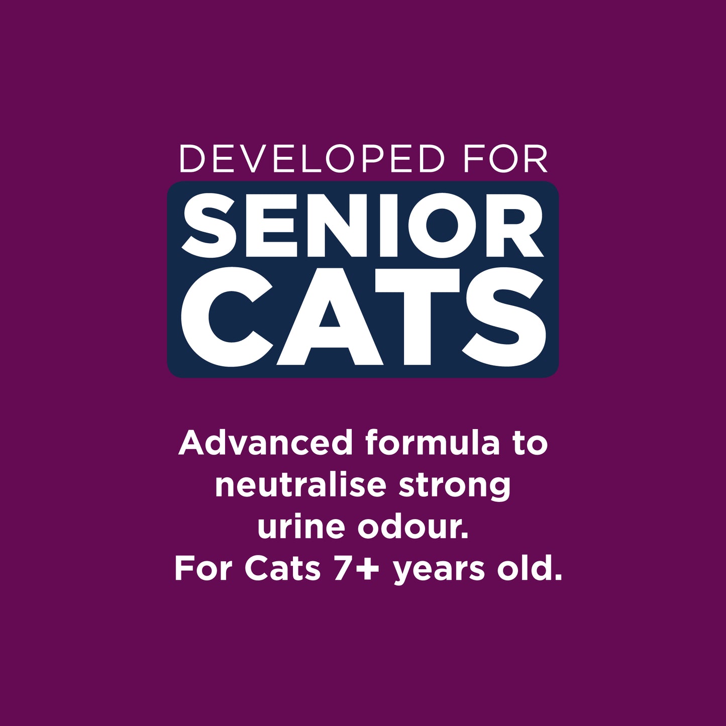 Ever Clean Clumping Senior Cat Litter