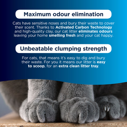Ever Clean Clumping Senior Cat Litter