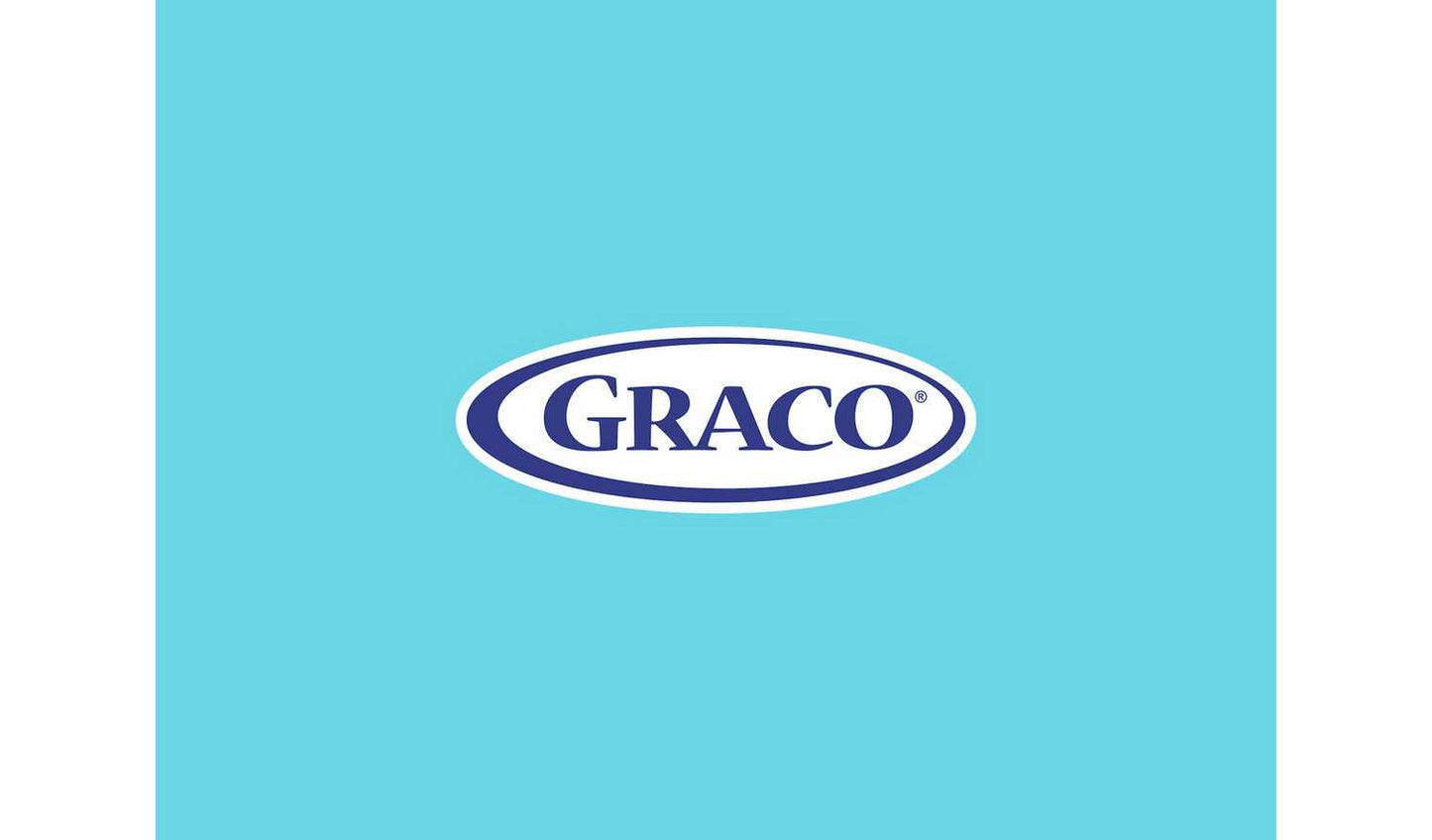Graco Baby Delight Baby Swing - Into The Wild