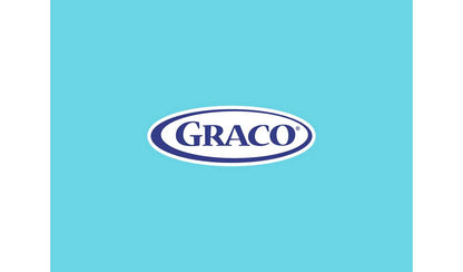 Graco Baby Delight Baby Swing - Into The Wild