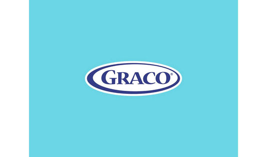Graco Baby Delight Baby Swing - Into The Wild