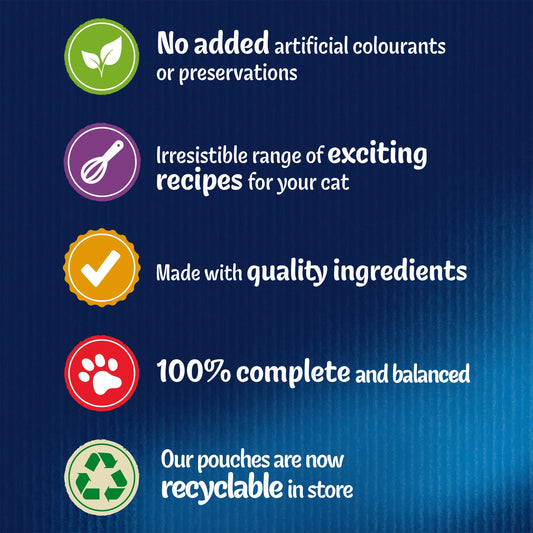 Felix As Good As it Looks Kitten Wet Food Mixed Selection in Jelly